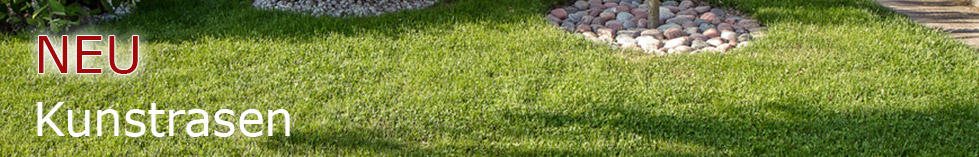 rollrasendirekt_headerbild